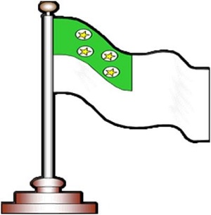 Bandera Institucional